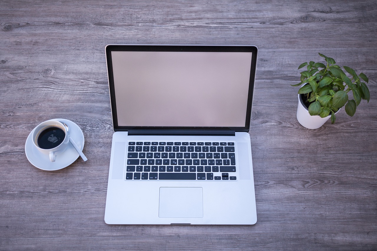 Ideas de productos para vender por Internet